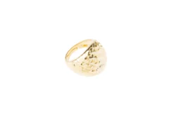 Anello argento dorato Selezione zanolli