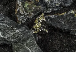 Anello messaggi nel vento argento Selezione zanolli