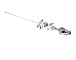 Bomboniera rosa argento Selezione zanolli