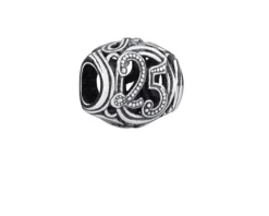 Charm raggiungimenti argento 25 anni Chamilia