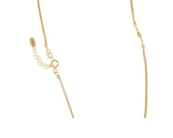 Collana argento dorato con ciondolo cuore Selezione zanolli
