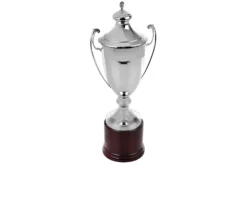 Coppa argento con coperchio e manici Selezione zanolli