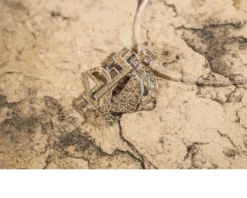Girocollo vita nel deserto argento Selezione zanolli