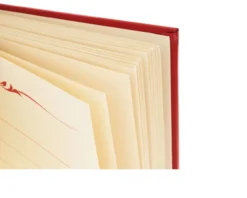 Idea regalo laurea album laurea argento pvd con cornice Selezione zanolli