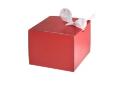 Idea regalo laurea memostick gufo della laurea con penna Selezione zanolli