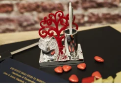 Idea regalo laurea portapenne gufo della laurea con penna Selezione zanolli