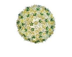 Lampada sospensione bloom menta Kartell