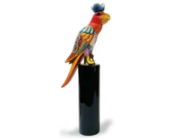 Pappagallo pirata l francis d. Tom's drag