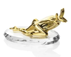 Passione special edition Ottaviani