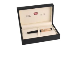 Penna stilografica ipsilon quadra oro rosa Aurora