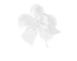 Petali portaconfetti tondi bianchi con fiocco bianco Selezione zanolli