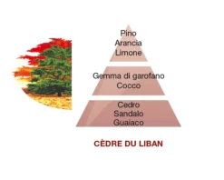 Profumo per la casa cedre du liban Maison berger paris