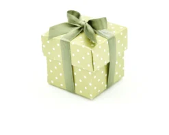 Scatola per bomboniera dots menta con coperchio e confetti Selezione zanolli
