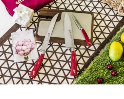 Set chef 3 pezzi elegance acciaio con manico rosso Berkel