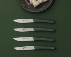 Set coltelli bistecca color acciaio verde 4 pezzi Berkel