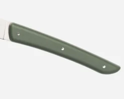 Set coltelli bistecca color acciaio verde 4 pezzi Berkel