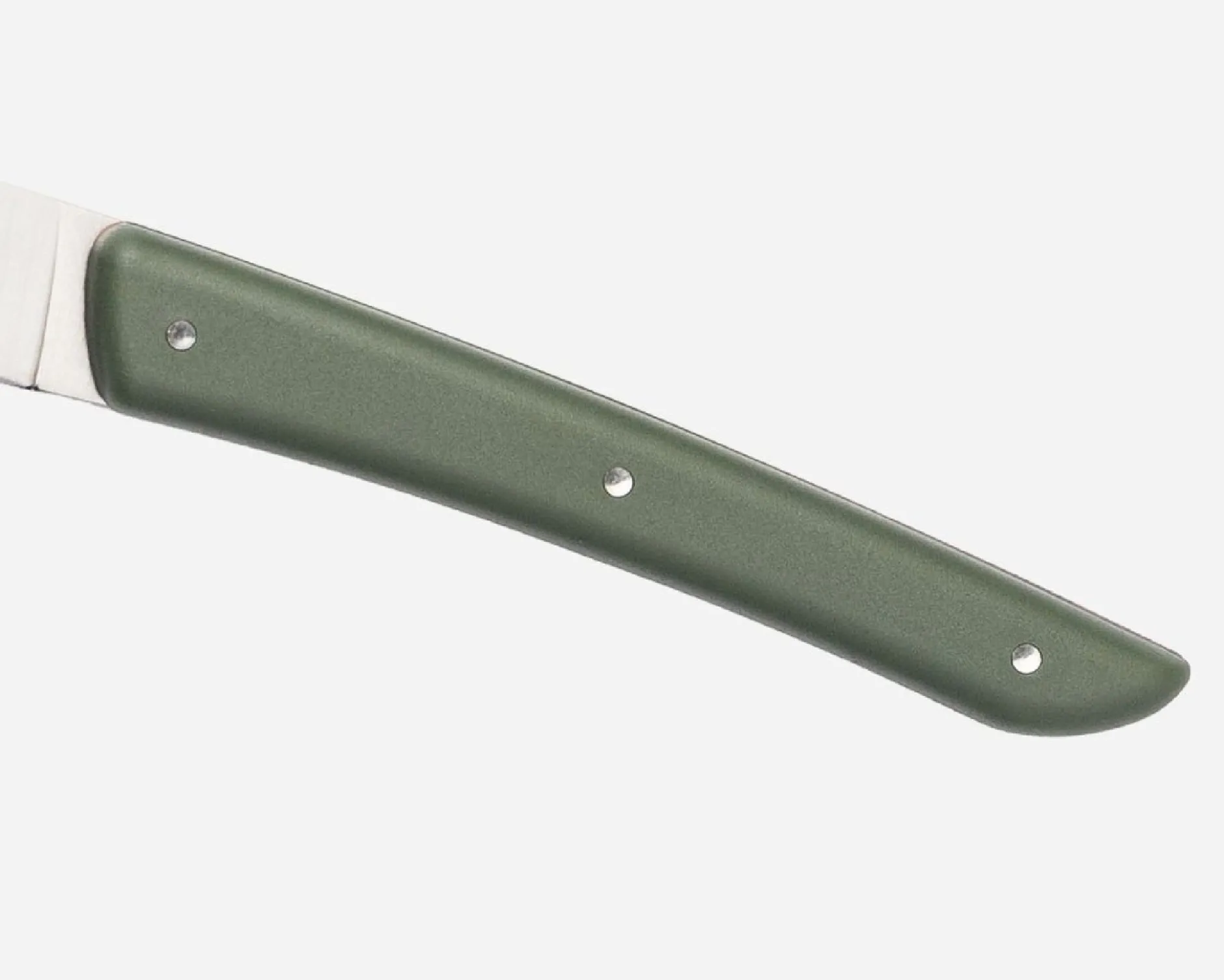 Set coltelli bistecca color acciaio verde 4 pezzi Berkel