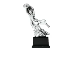 Trofeo calciatore Selezione zanolli