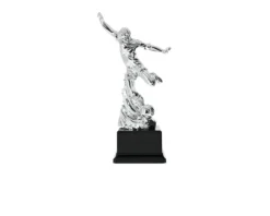Trofeo calciatore Selezione zanolli