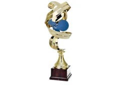 Trofeo calcio Selezione zanolli