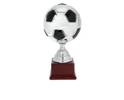 Trofeo pallone di calcio Selezione zanolli