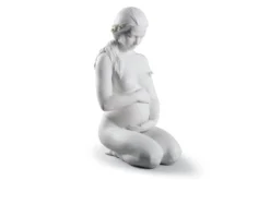 Una nuova vita porcellana Lladro'